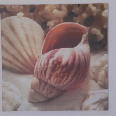 公寓 广场公寓 Agia Anna (Naxos)