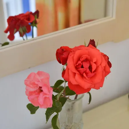 广场公寓 公寓 Agia Anna (Naxos)