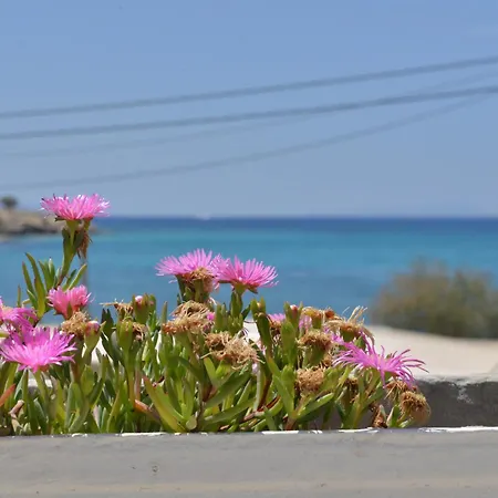 广场公寓 * Agia Anna (Naxos)