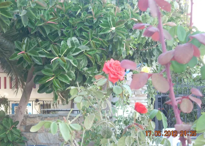 Apartman Plaza Studios