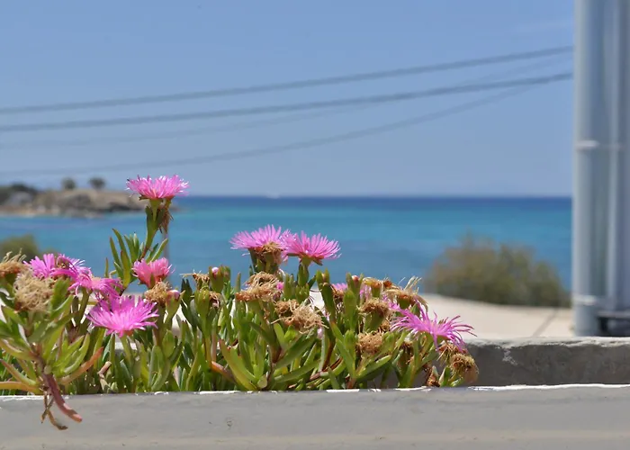 Plaza Studios * Ajía Ána