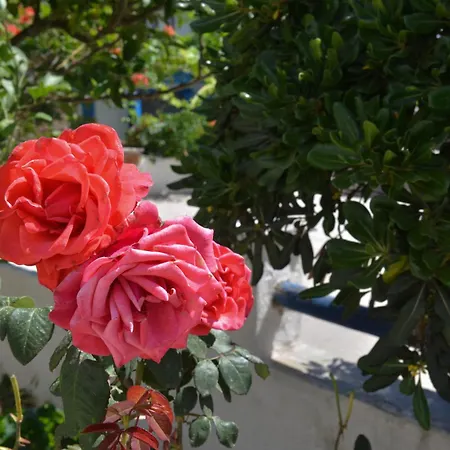 아파트 Plaza Agia Anna (Naxos)