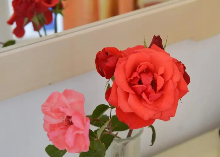 Plaza Lägenhet Agia Anna (Naxos)